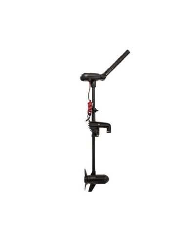 Безчетков двигател Haswing Protruar 1.0 (600W / 12V)