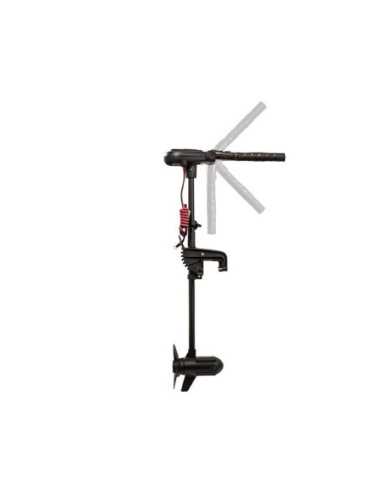 Безчетков двигател Haswing Protruar 1.0 (600W / 12V)