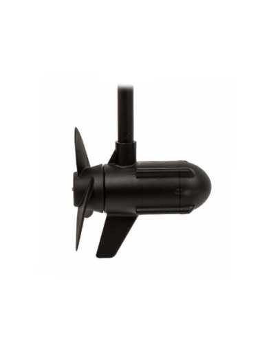 Безчетков двигател Haswing Protruar 1.0 (600W / 12V)