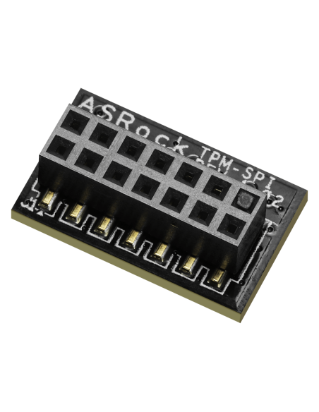 Защитен модул ASRock TPM-SPI, 13 pin