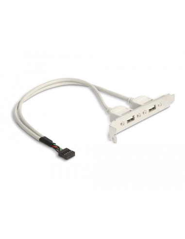 Скоба Delock, За монтаж в PC, USB 10 pin към 2 x USB 2.0 type A