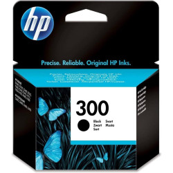 Мастило за принтер 300XL BK