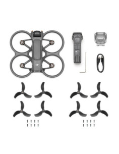 DJI Avata 2 (Drone Only)