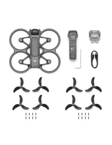 DJI Avata 2 (Drone Only)
